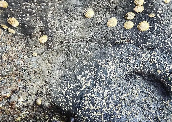 Appartement Casa La Caracola