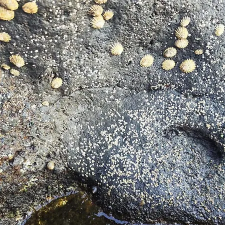 Apartment Casa La Caracola