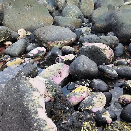 公寓 Casa La Caracola