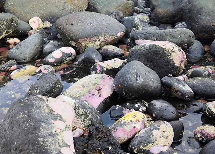 Apartamento Casa La Caracola